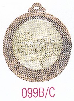 Médaille de Bronze 70 mm