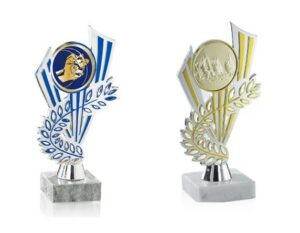 trophées sport personnalisables de 19 cm de hauteur