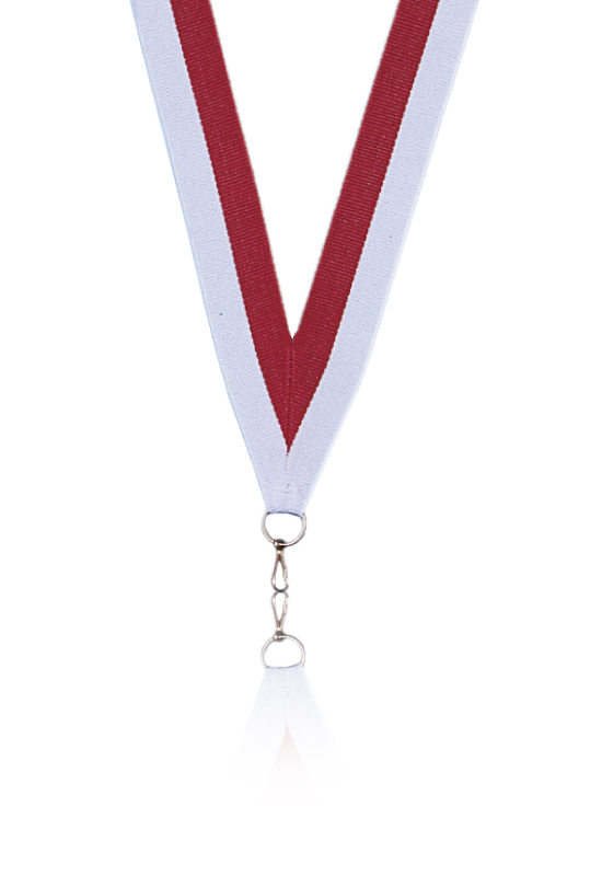 STOBOK 10 Pièces Médaille En Fer Blanc Rubans De Récompense Rubans