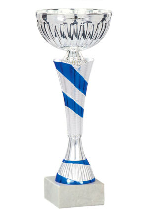 coupe eco argent et bleu