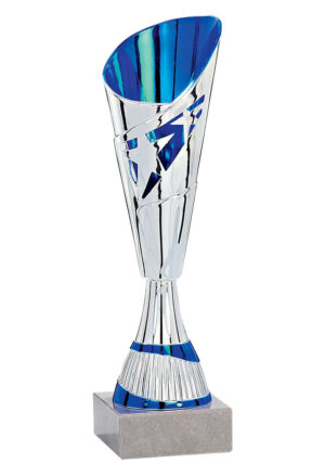 coupe eco argent et bleu