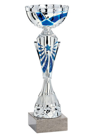 coupe eco argent et bleu