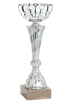 coupe eco argent