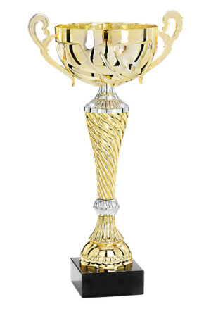 coupe premium or et argent de 40 cm de hauteur
