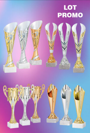 lot de 12 coupes or argent et bronze