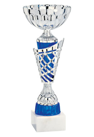 coupe eco argent et bleu