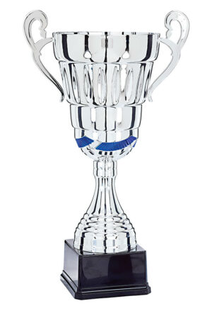 coupe prestige argent et bleu