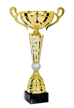 coupe premium or et argent de 39 cm de hauteur