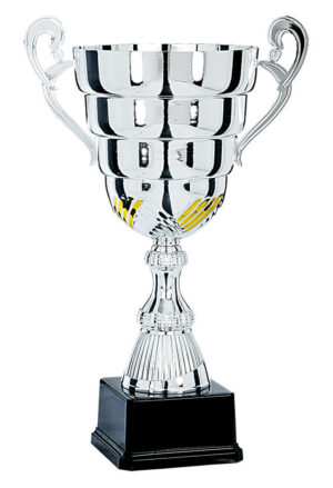coupe classique argent et or de 48 cm de hauteur