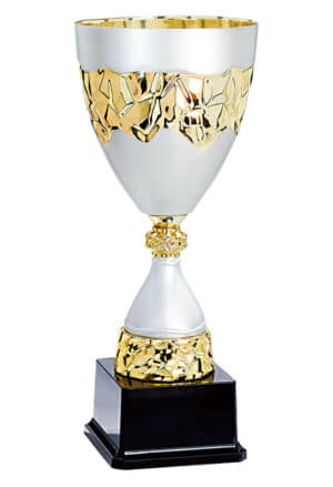 coupe classique argent et or de 37 cm de hauteur