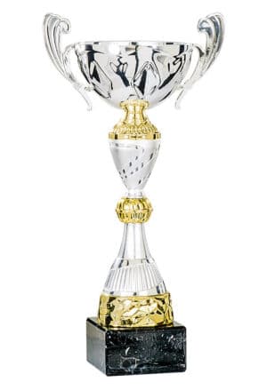 coupe classique argent et or de 38 cm de hauteur