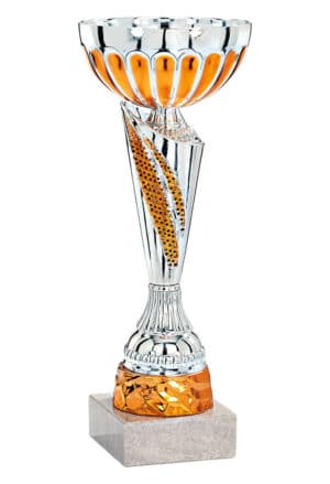 coupe eco argent et bronze