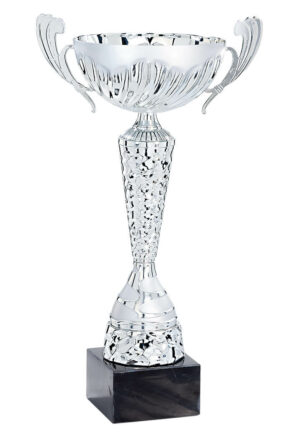 coupe de déstockage couleur argent de 37 cm de hauteur