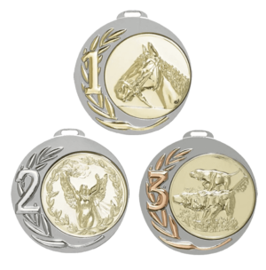 médaille bicolore diamètre 70 mm