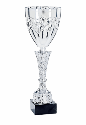 coupe premium argent